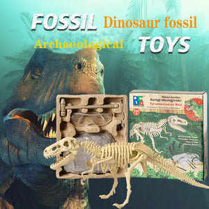 Archaeological Dinosaur Fossil Skeleton Model