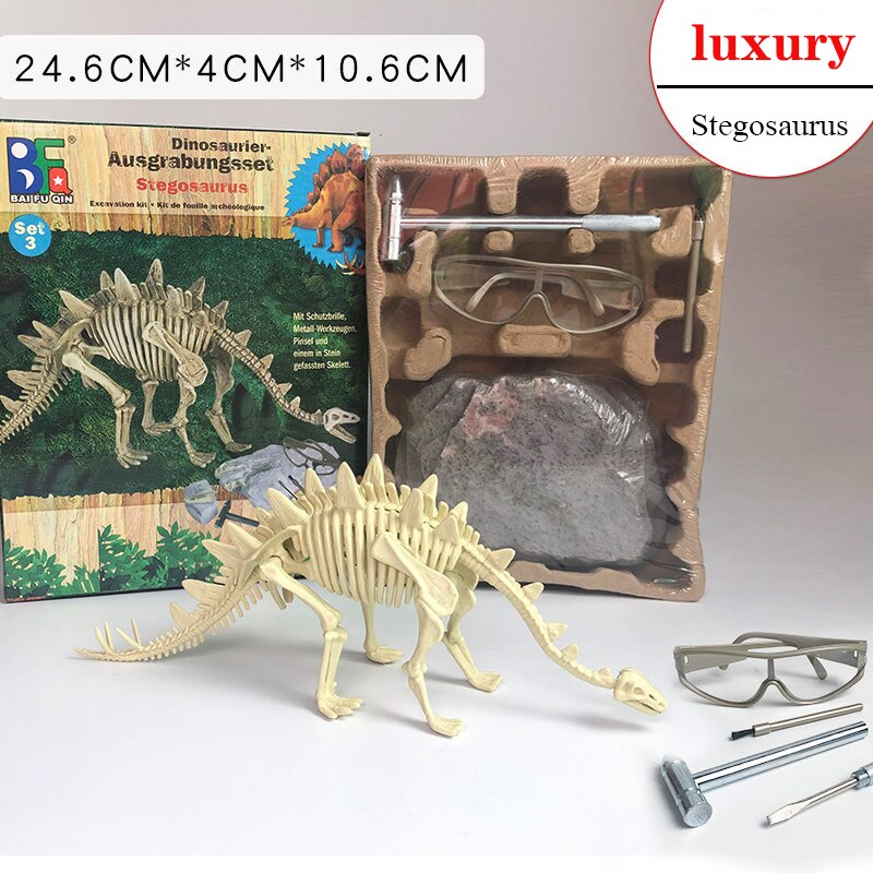 Archaeological Dinosaur Fossil Skeleton Model