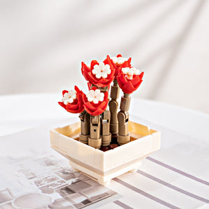 DIY Succulents Romantic Flowers Bouquet Bricks